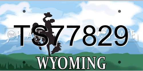 TS77829 Wyoming License Plate