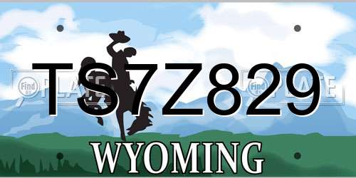 TS7Z829 Wyoming License Plate