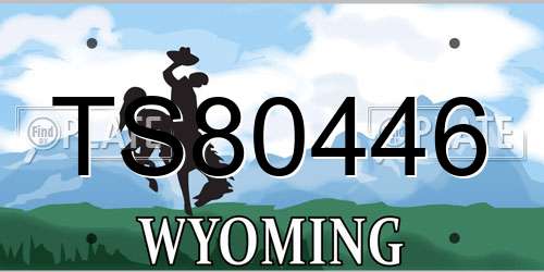 TS80446 Wyoming License Plate