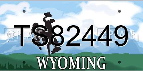 TS82449 Wyoming License Plate