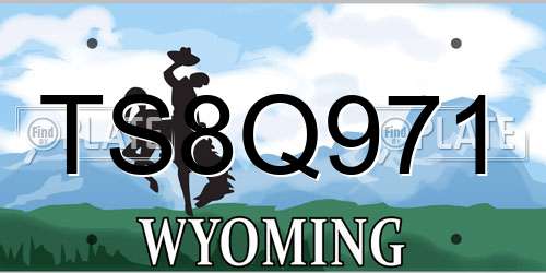 TS8Q971 Wyoming License Plate