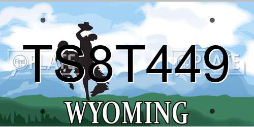 TS8T449 Wyoming License Plate