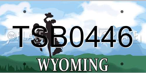 TSB0446 Wyoming License Plate