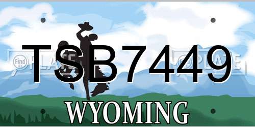 TSB7449 Wyoming License Plate