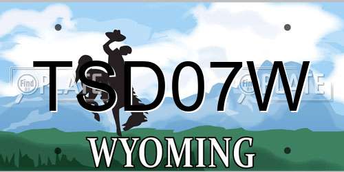 TSD07W Wyoming License Plate
