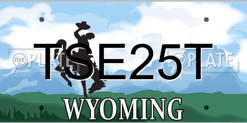 TSE25T Wyoming License Plate