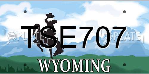 TSE707 Wyoming License Plate