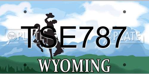 TSE787 Wyoming License Plate