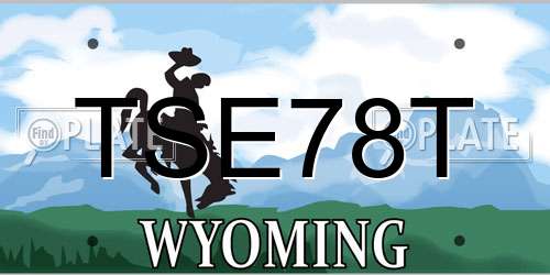 TSE78T Wyoming License Plate