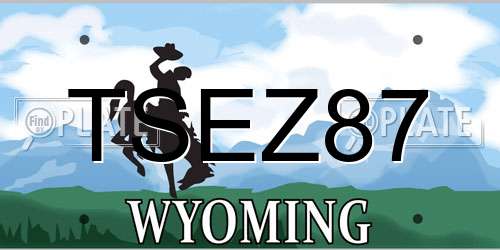TSEZ87 Wyoming License Plate