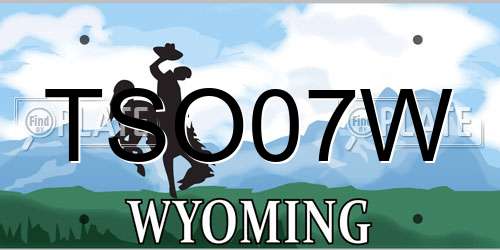 TSO07W Wyoming License Plate