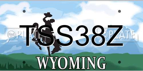 TSS38Z Wyoming License Plate