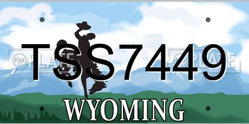 TSS7449 Wyoming License Plate