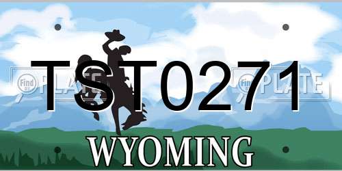 TST0271 Wyoming License Plate