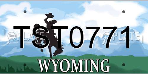 TST0771 Wyoming License Plate