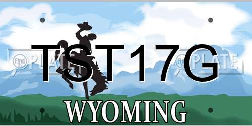 TST17G Wyoming License Plate