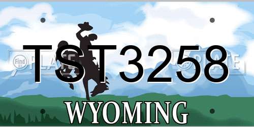 TST3258 Wyoming License Plate