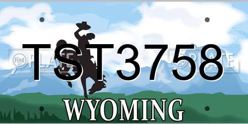 TST3758 Wyoming License Plate