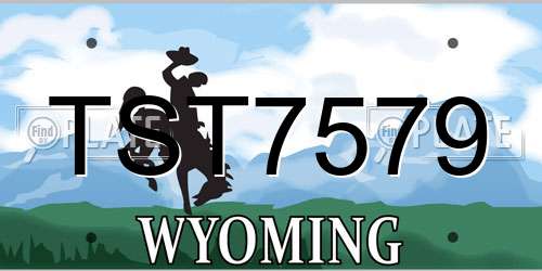 TST7579 Wyoming License Plate