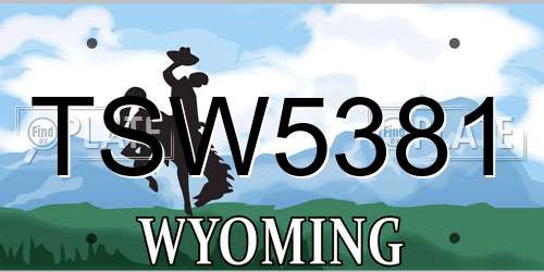 TSW5381 Wyoming License Plate