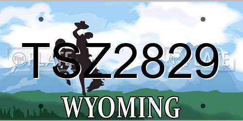 TSZ2829 Wyoming License Plate