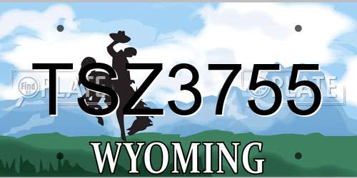 TSZ3755 Wyoming License Plate