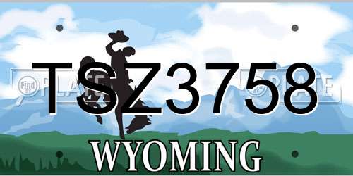 TSZ3758 Wyoming License Plate