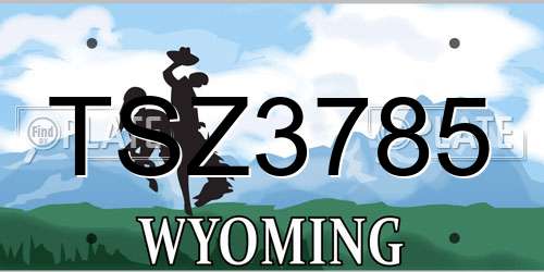 TSZ3785 Wyoming License Plate
