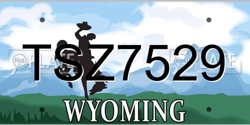 TSZ7529 Wyoming License Plate
