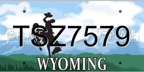 TSZ7579 Wyoming License Plate