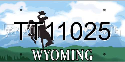 TT11025 Wyoming License Plate