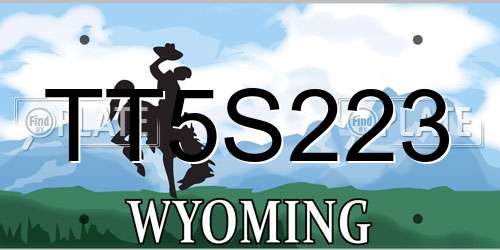 TT5S223 Wyoming License Plate