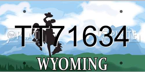 TT71634 Wyoming License Plate