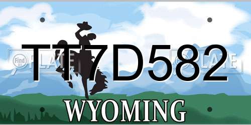 TT7D582 Wyoming License Plate