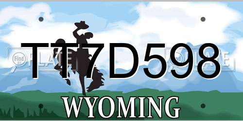 TT7D598 Wyoming License Plate