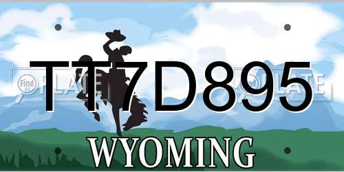 TT7D895 Wyoming License Plate