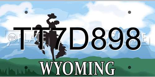 TT7D898 Wyoming License Plate