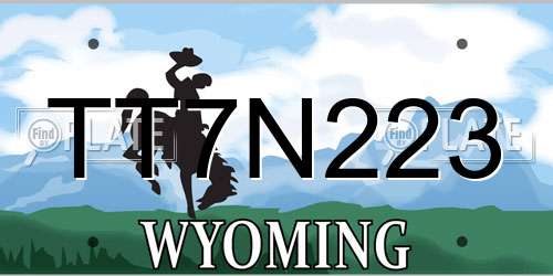 TT7N223 Wyoming License Plate