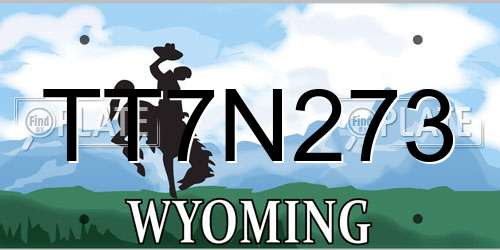 TT7N273 Wyoming License Plate