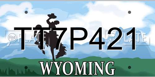 TT7P421 Wyoming License Plate