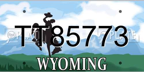 TT85773 Wyoming License Plate