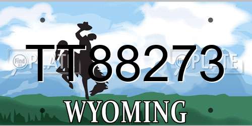 TT88273 Wyoming License Plate