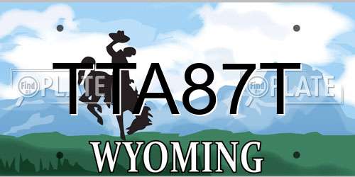 TTA87T Wyoming License Plate