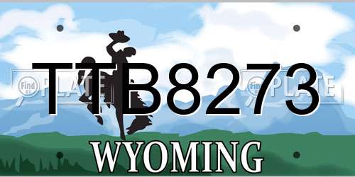TTB8273 Wyoming License Plate