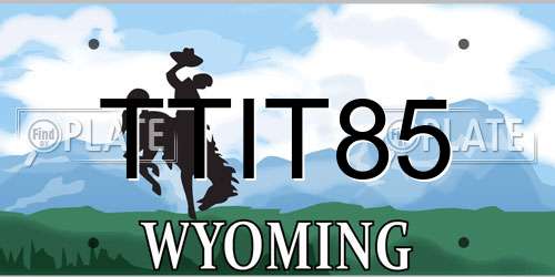 TTIT85 Wyoming License Plate