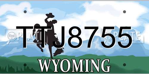 TTJ8755 Wyoming License Plate