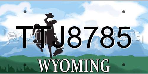TTJ8785 Wyoming License Plate