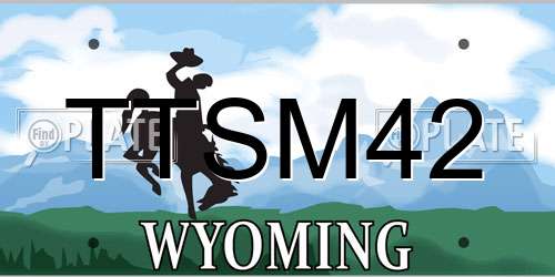 TTSM42 Wyoming License Plate