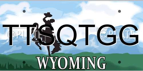 TTSQTGG Wyoming License Plate