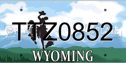 TTZ0852 Wyoming License Plate